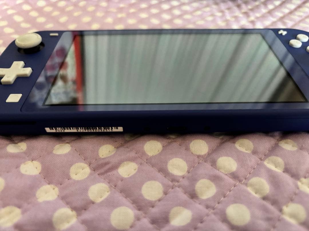 Nintendo Switch Nintendo Switch rite Blue