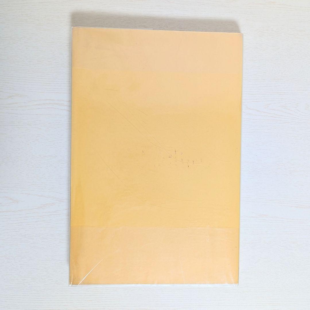 マーク・ロスコ 図録