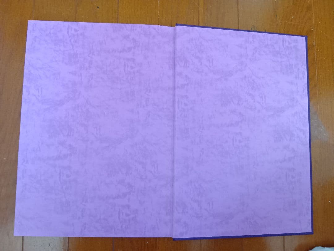 夢艶肌絵　（入墨/刺青をした女性の写真集）竹書房