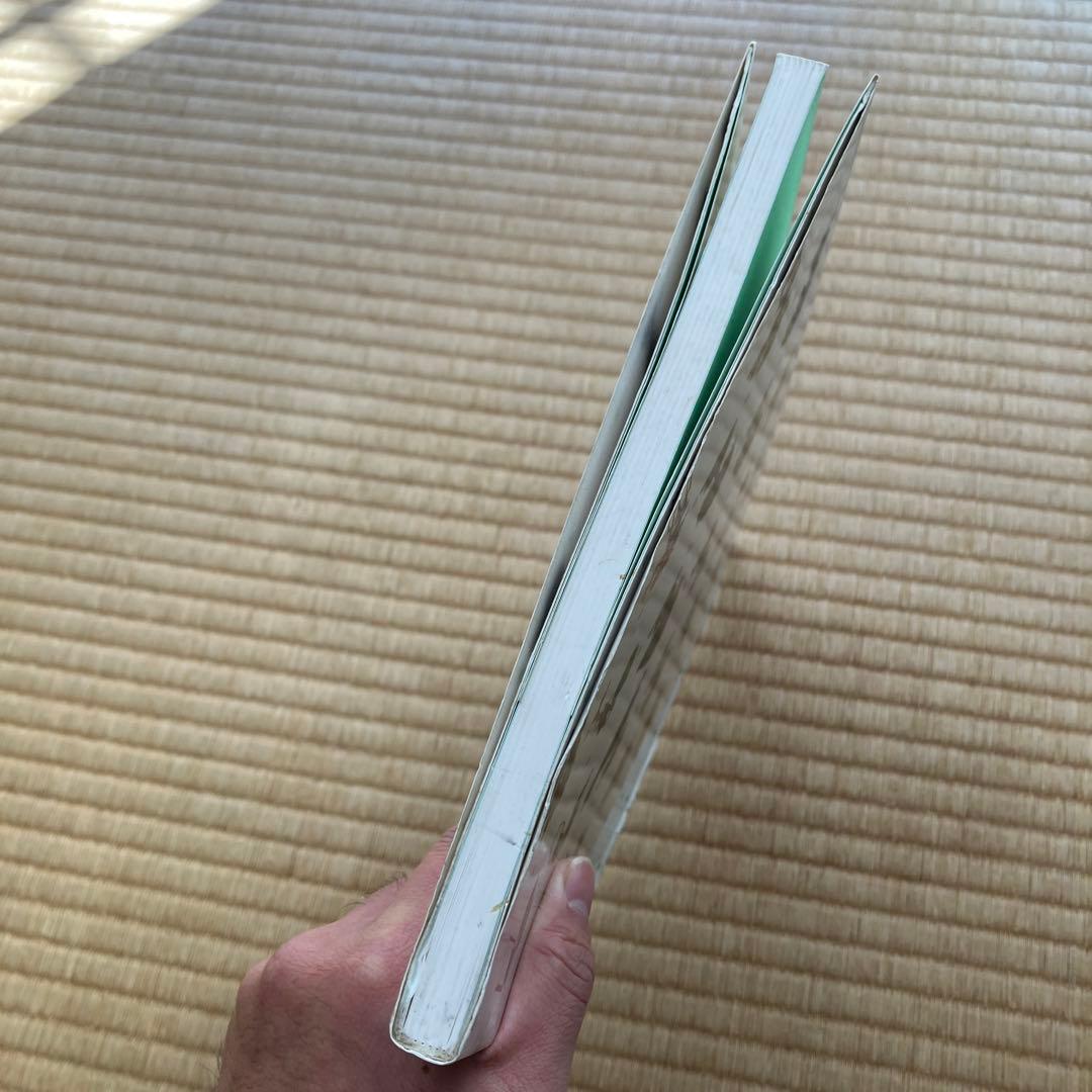 THE MODERN BONSAI 盆栽宇宙