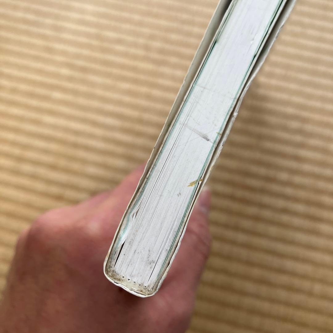 THE MODERN BONSAI 盆栽宇宙