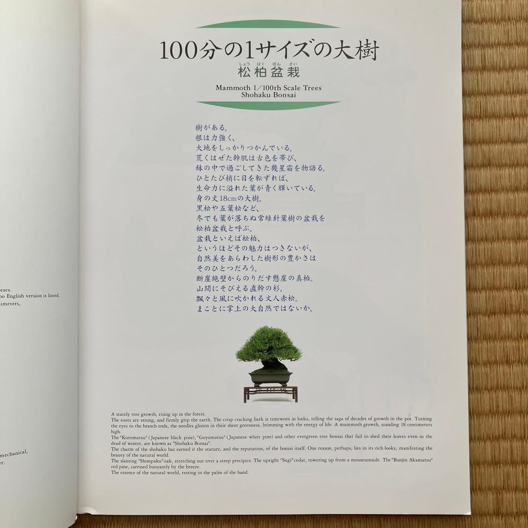 THE MODERN BONSAI 盆栽宇宙