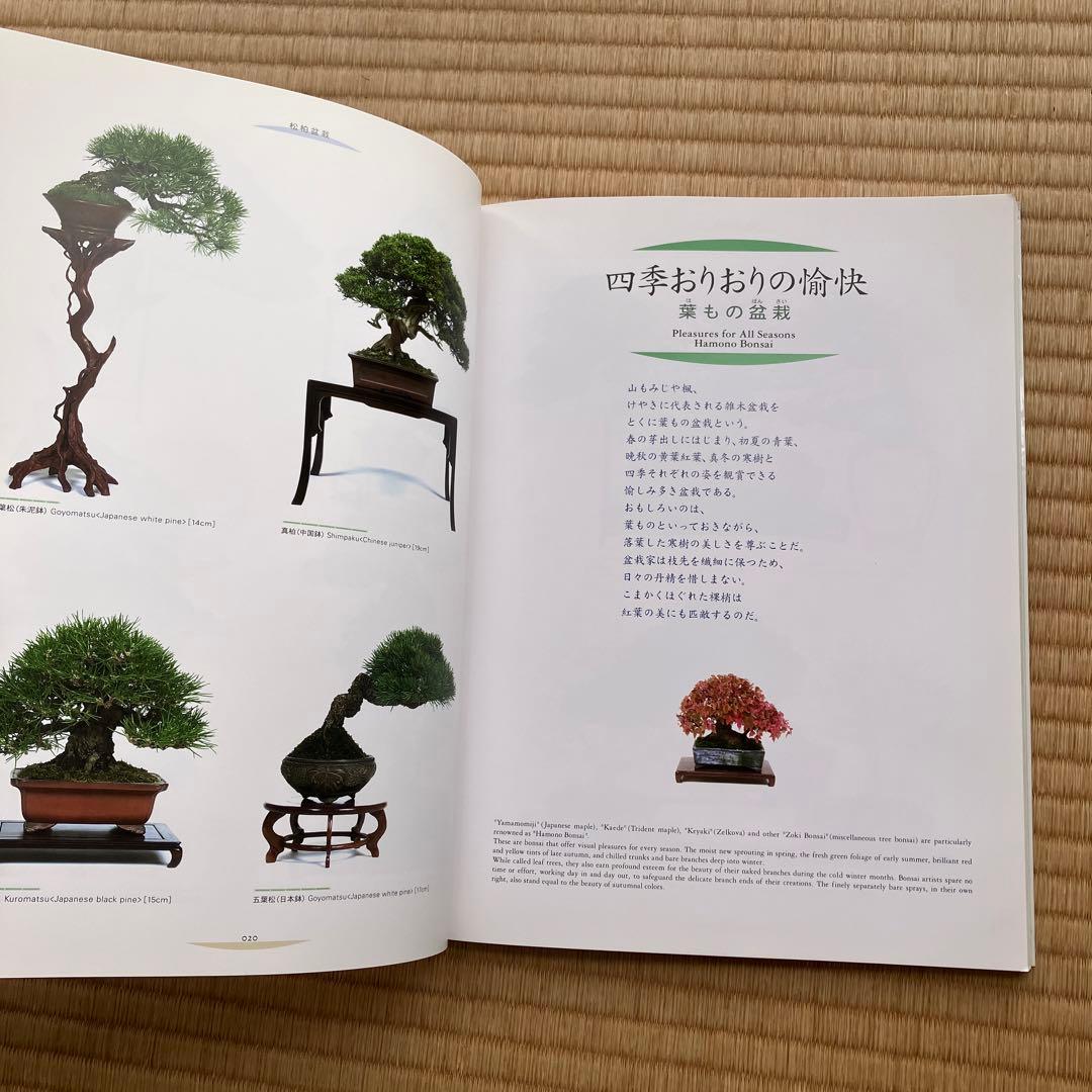 THE MODERN BONSAI 盆栽宇宙