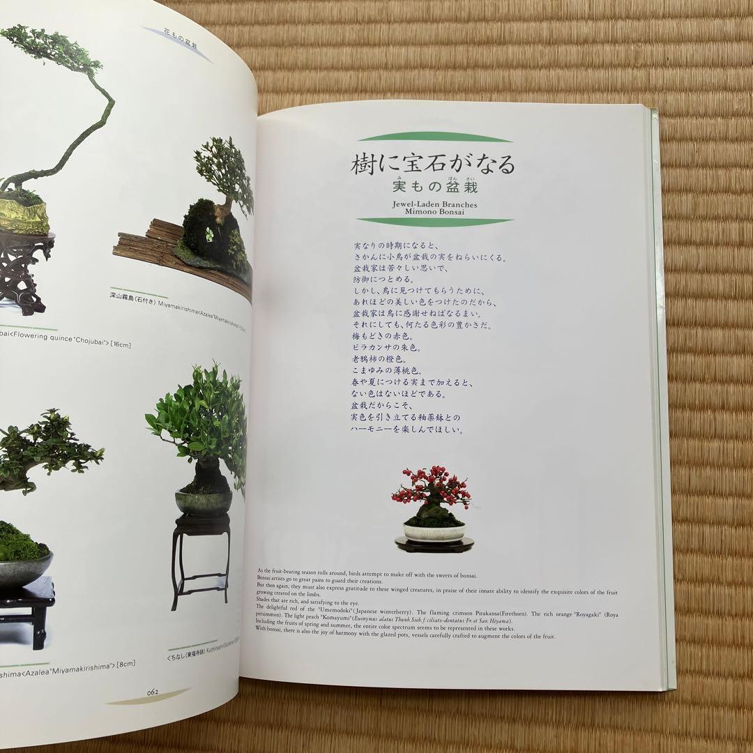 THE MODERN BONSAI 盆栽宇宙