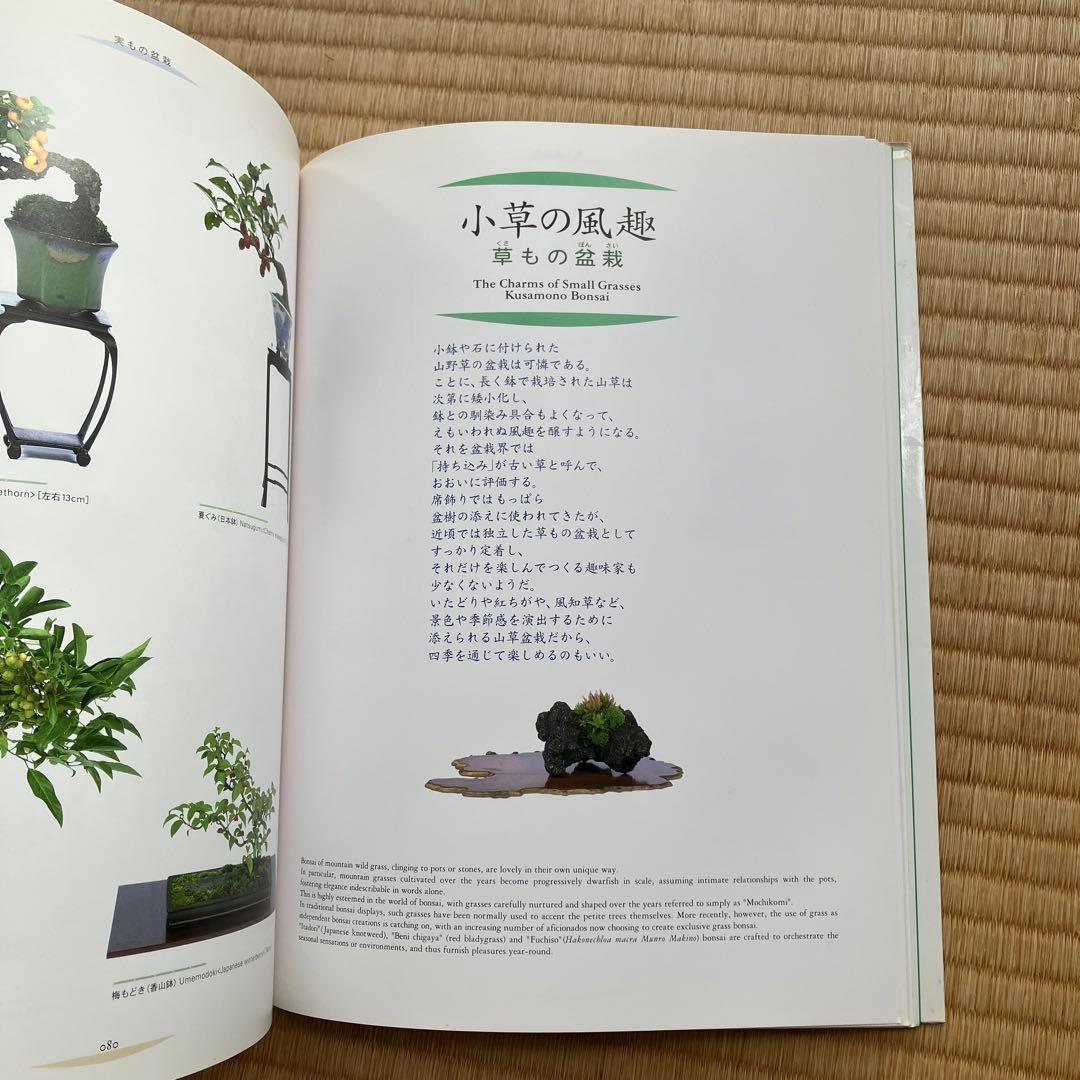 THE MODERN BONSAI 盆栽宇宙