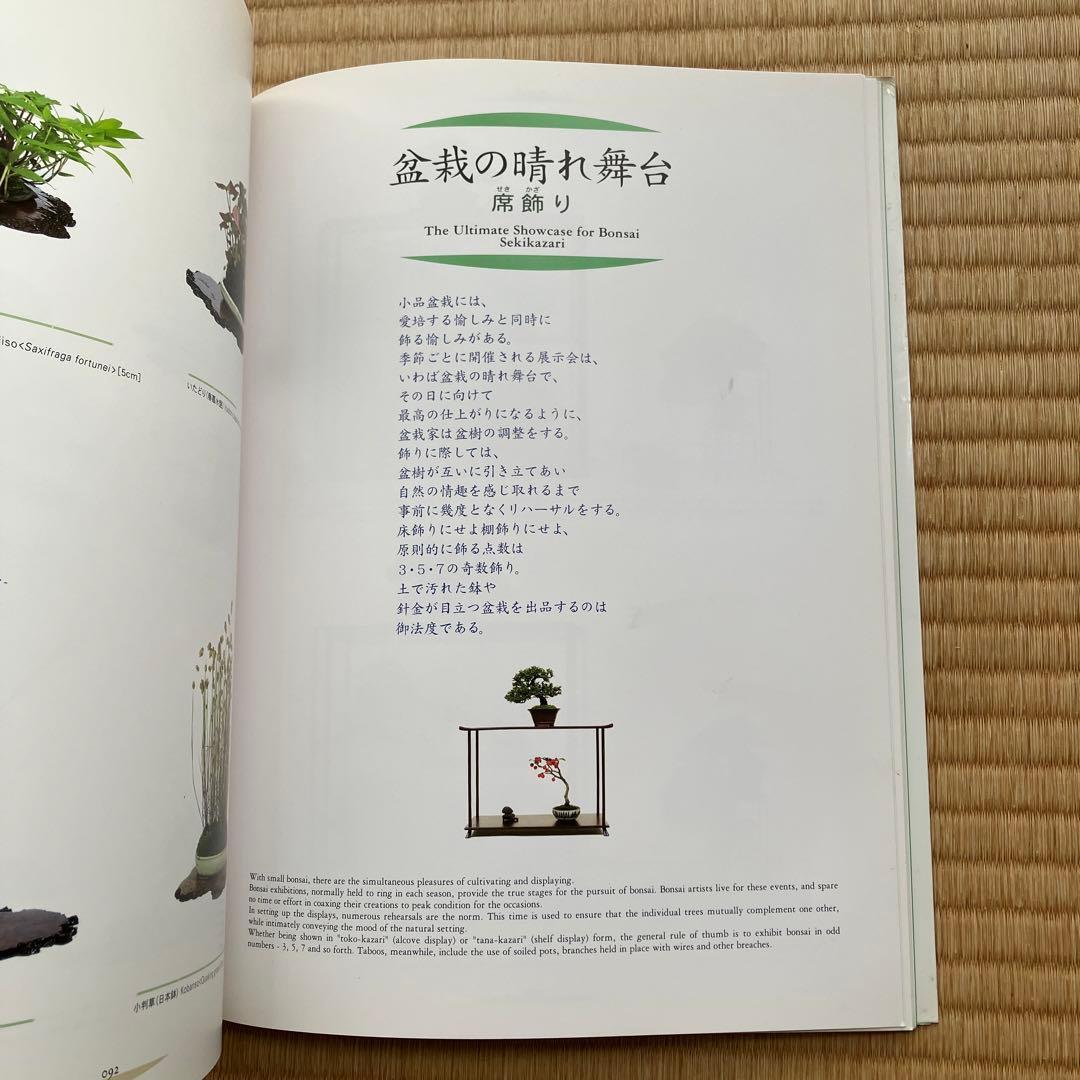 THE MODERN BONSAI 盆栽宇宙