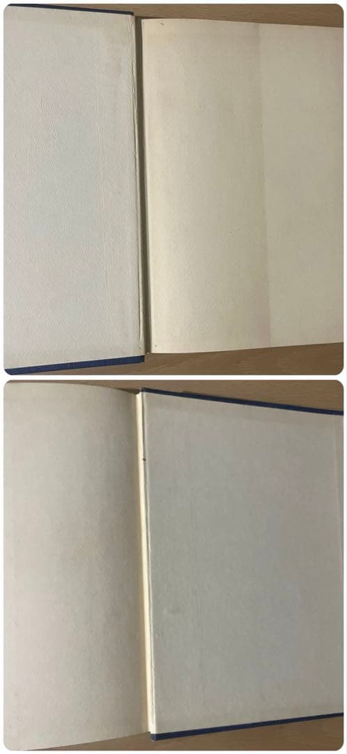 No.385 希少 アンティーク 洋書 エドマンド ·デュラック 童話　妖精譚