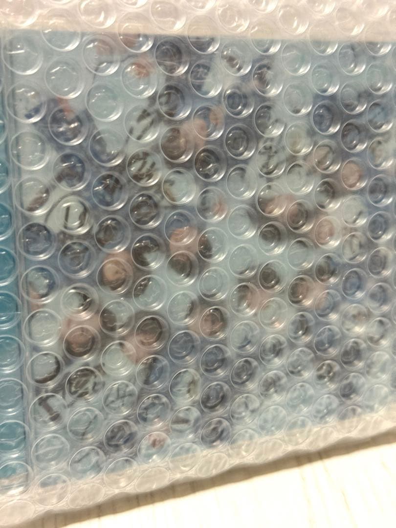 完全未開封 僕が見たかった青空 あれはフェアリー 青空組サイン入り 通常盤 CD