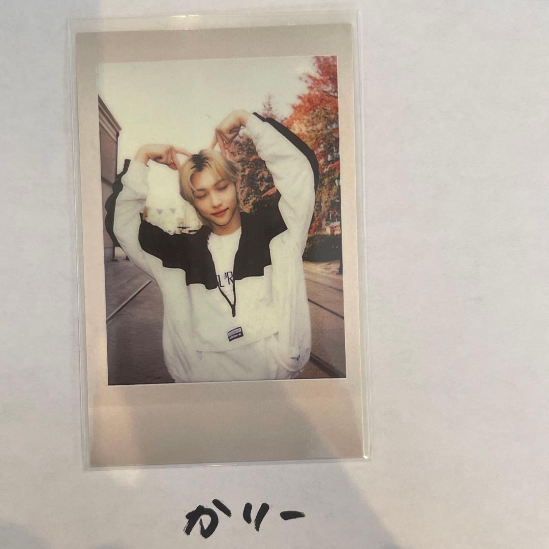 オンコン ポラロイド フィリックス