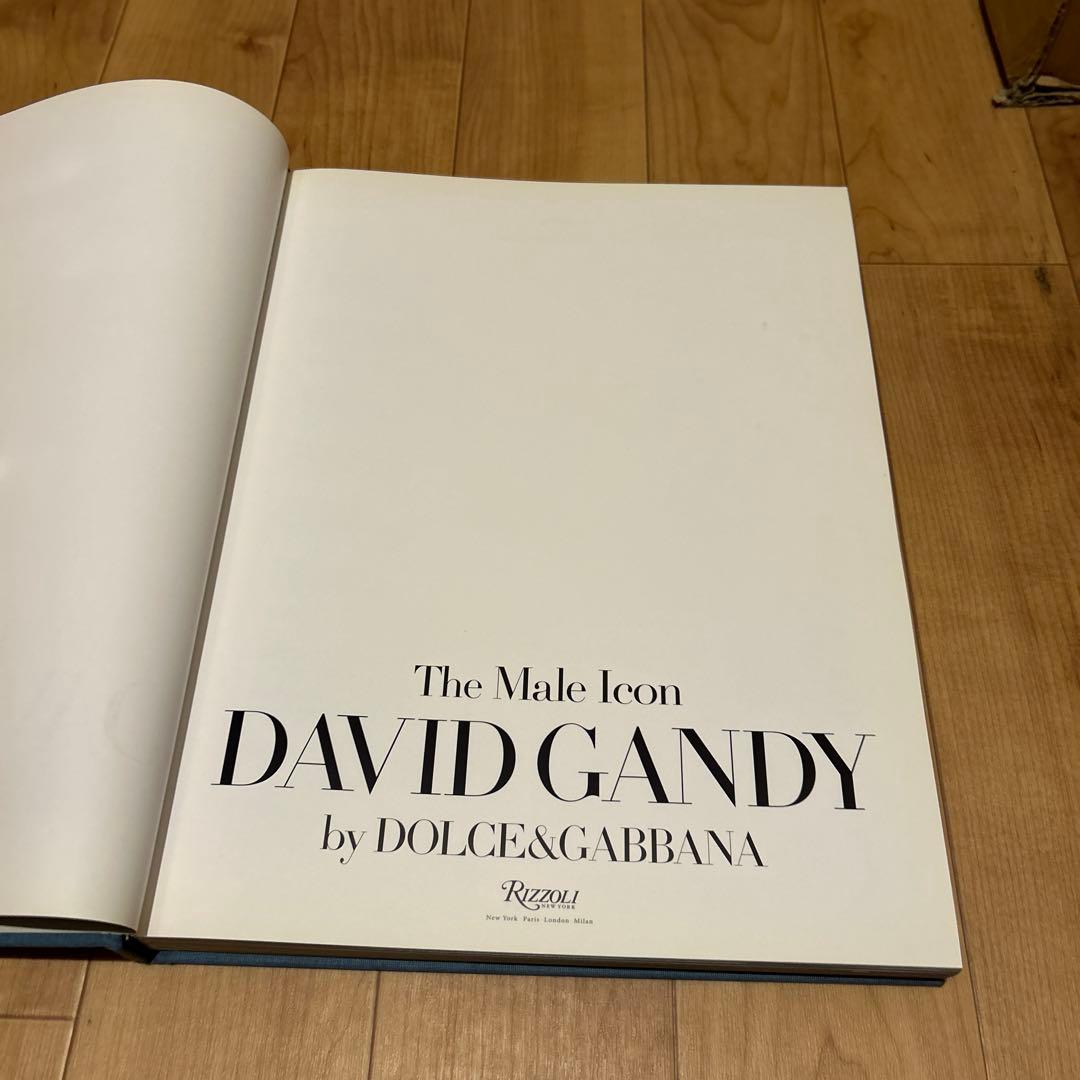 アート・デザイン・音楽 DAVID GANDY by DOLCE&GABBANA