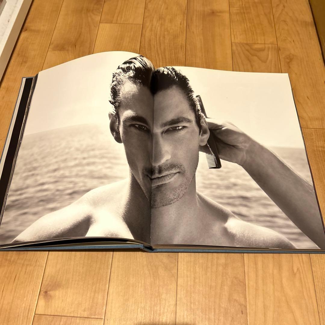 アート・デザイン・音楽 DAVID GANDY by DOLCE&GABBANA