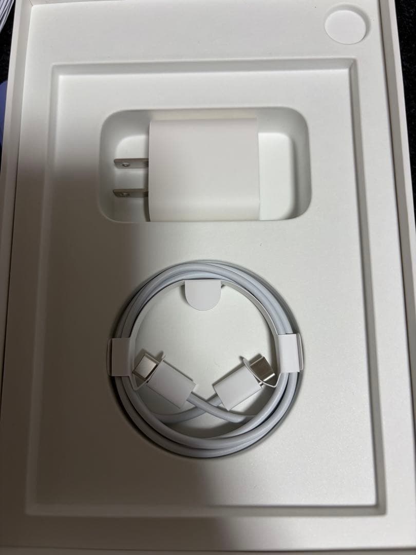 iPad mini 第6世代 Wi-Fi + Cellular 256GB