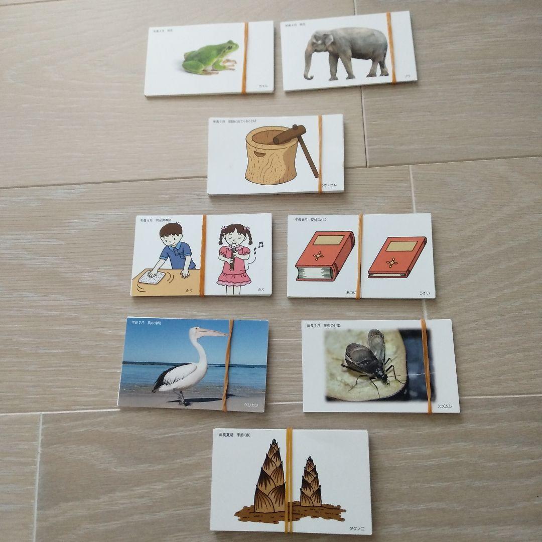 理英会　言語カード　小学校受験 お受験 年少、新年中、年中、年長