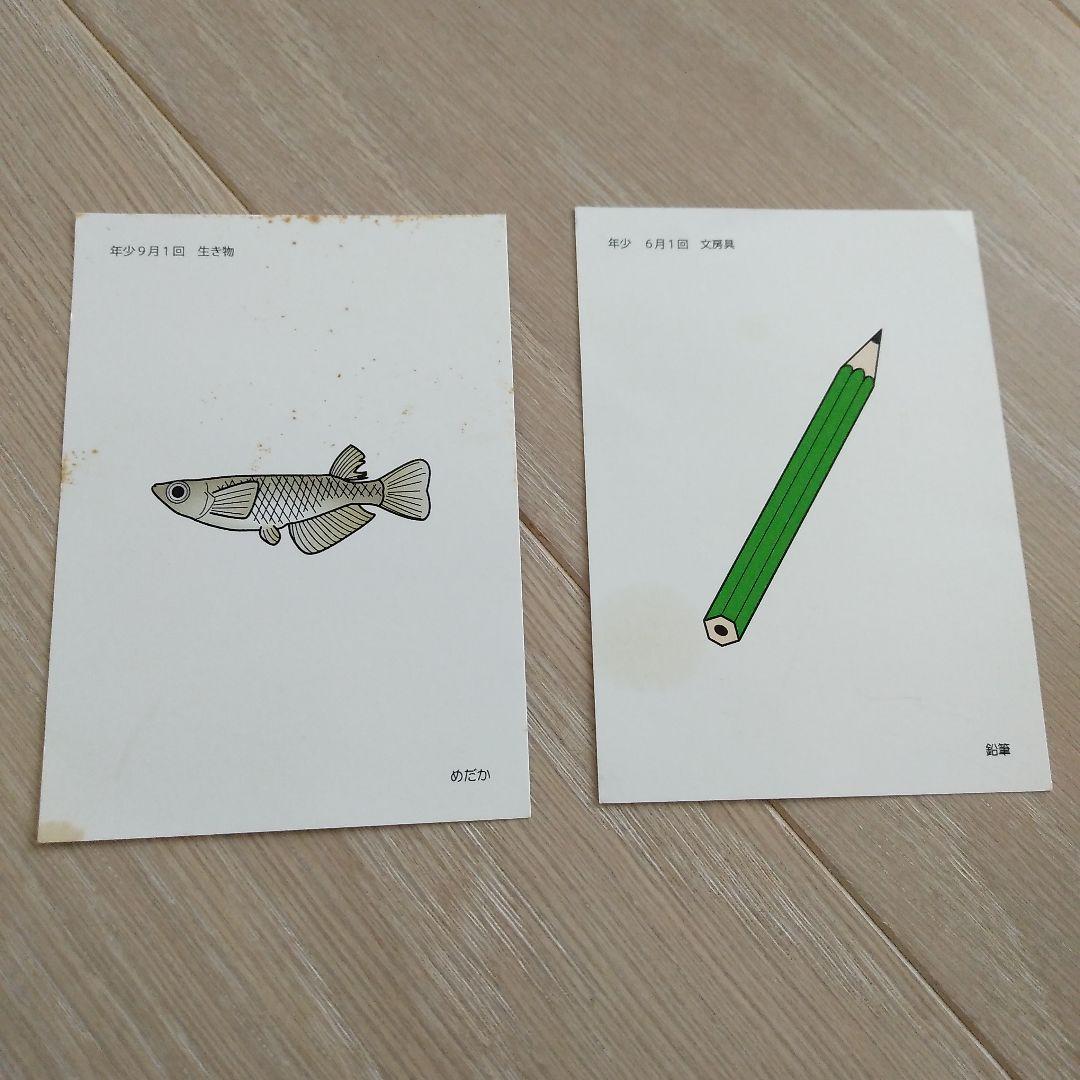 理英会　言語カード　小学校受験 お受験 年少、新年中、年中、年長