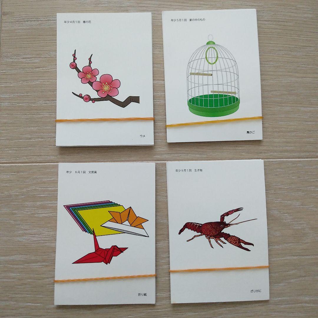 理英会　言語カード　小学校受験 お受験 年少、新年中、年中、年長