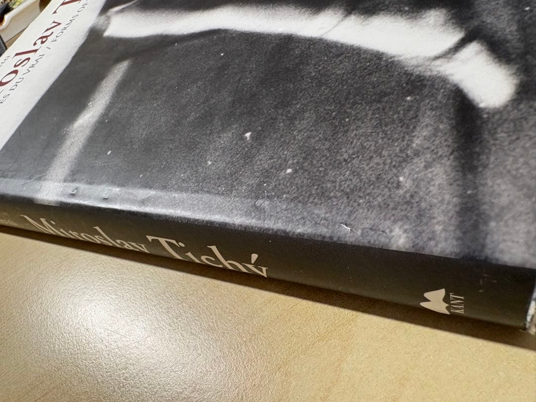 アート・デザイン・音楽 Miroslav Tichy Form of Truth