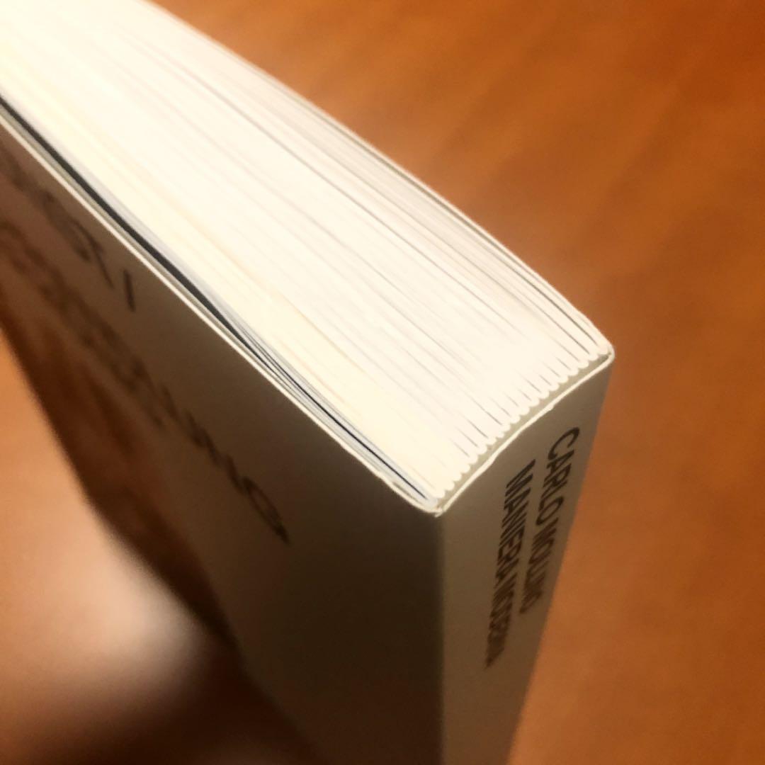 希少　Carlo mollino maniera moderana 洋書