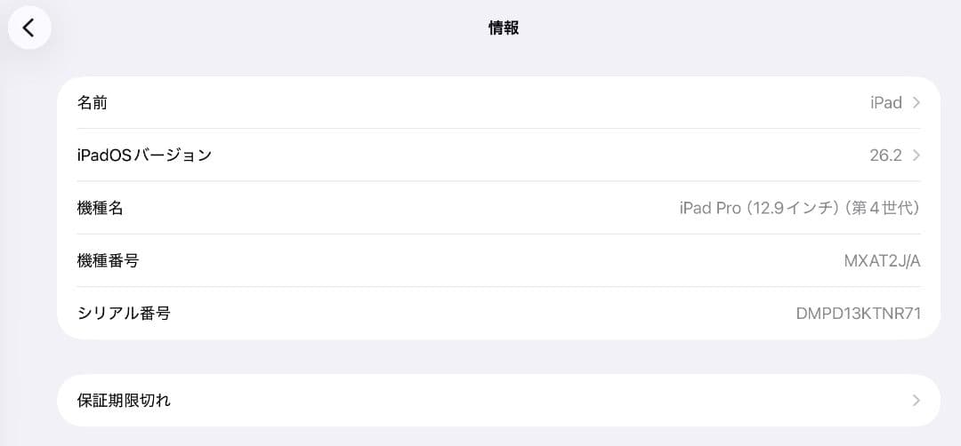 iPad pro（12.9インチ/256GB）+Apple Pencil