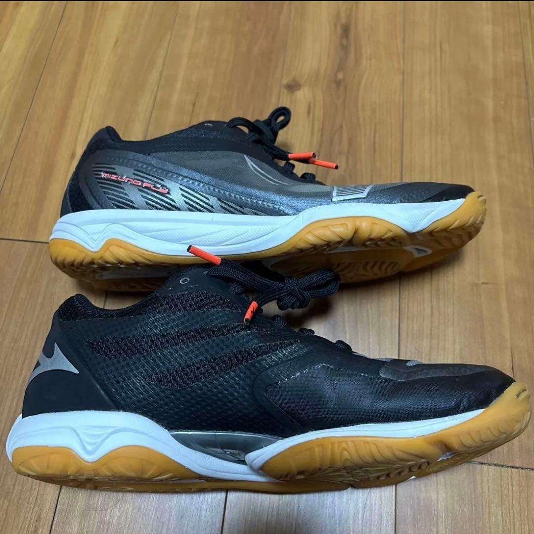【1回使用】MIZUNO FLY 24.5 バレーボールシューズ ミズノ