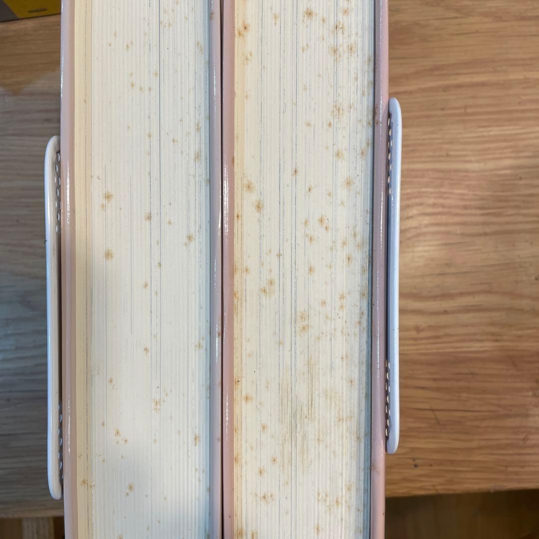 神話伝説シリーズ 1巻　サバンナ 2巻ボロロ 豪華愛蔵版　2冊セット