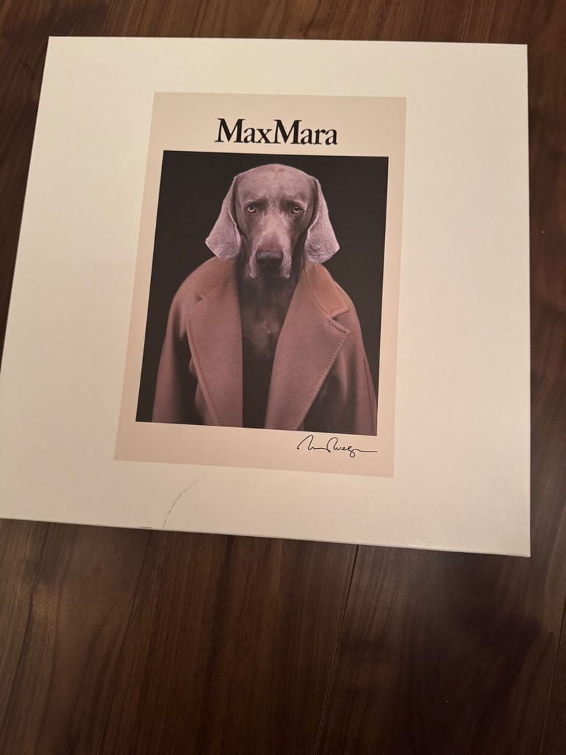 【美品】マックスマーラ　Max Mara バッコ　スウェット