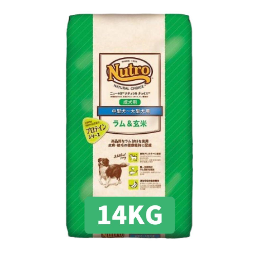 Chqn. プロフィール見て下さい