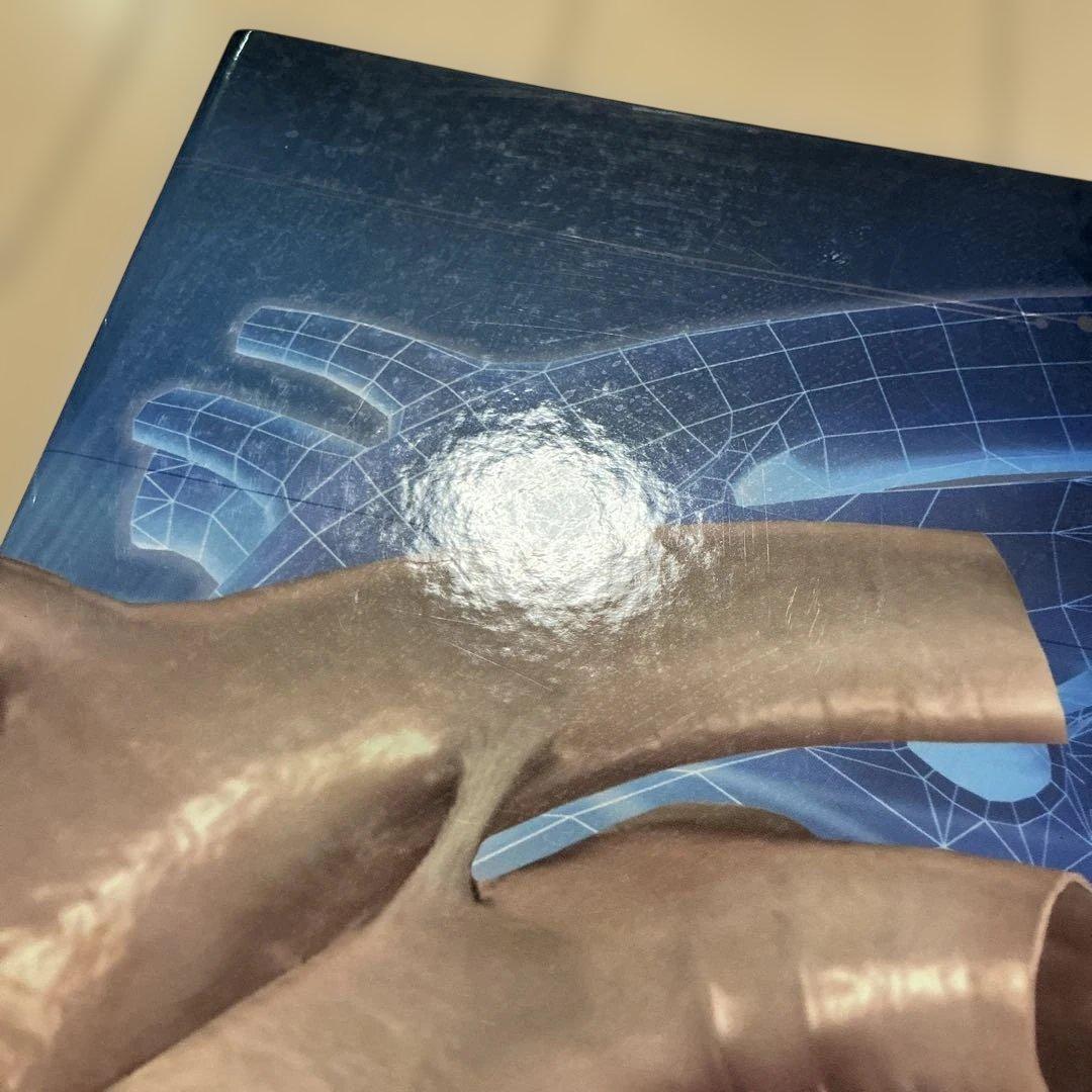 小動物の3D心臓病学