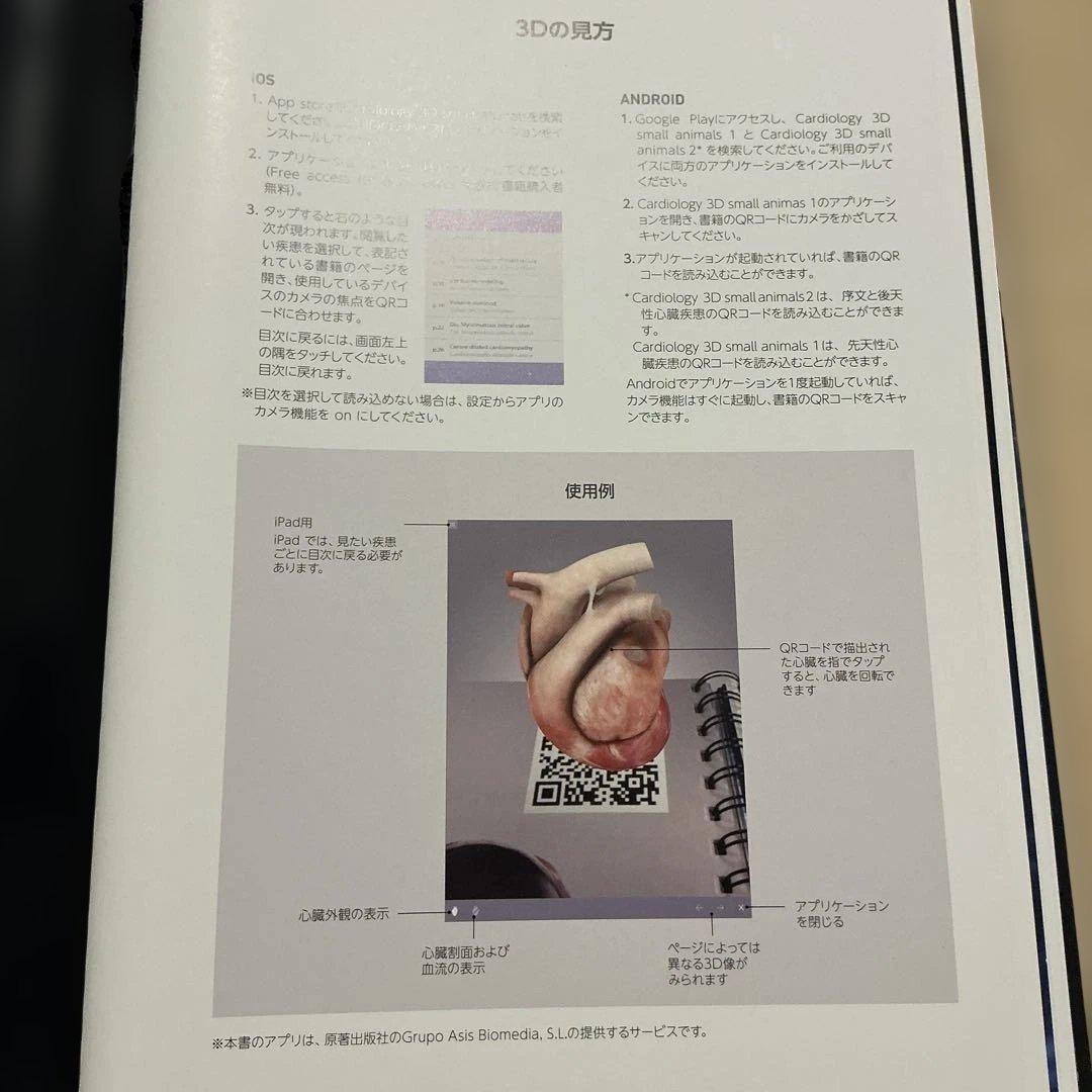 小動物の3D心臓病学