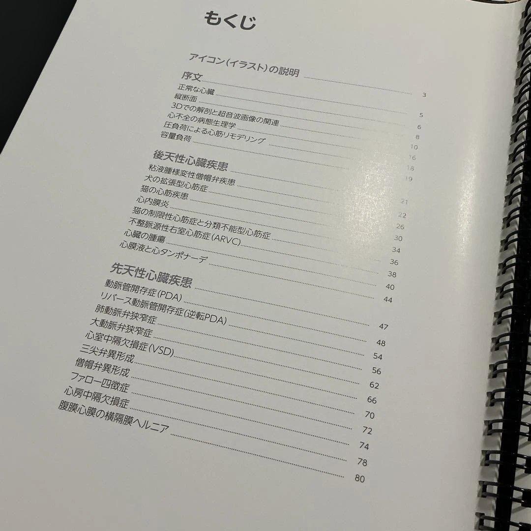 小動物の3D心臓病学