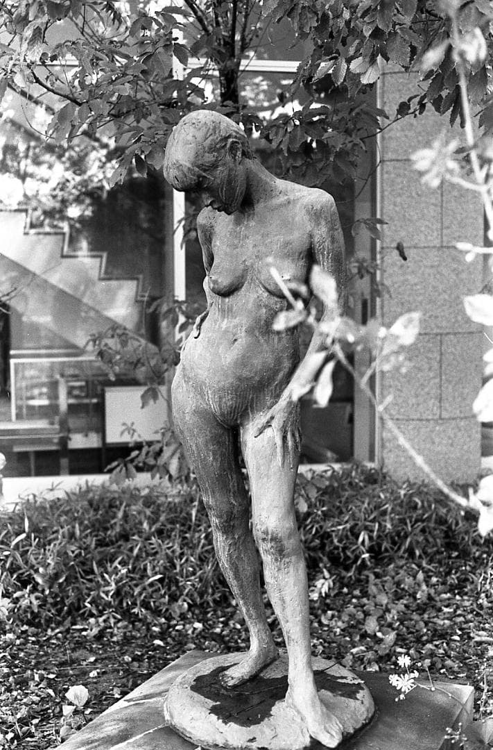 整備済完動品 Canon AE-1 PROGRAM + NEW FD 50mm