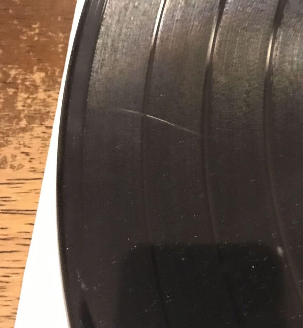 ◾️13thフロア・エレベーターズ /ザ・サイケデリック・サウンズ・オブ/ 高音質