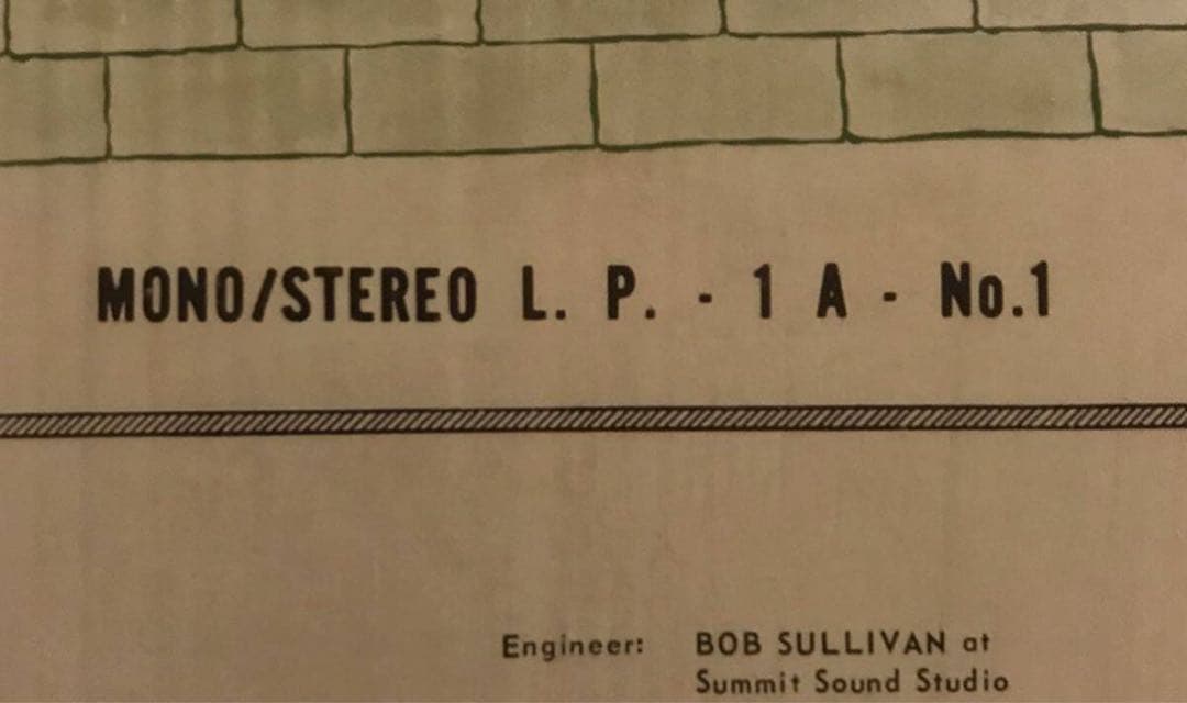 ◾️13thフロア・エレベーターズ /ザ・サイケデリック・サウンズ・オブ/ 高音質