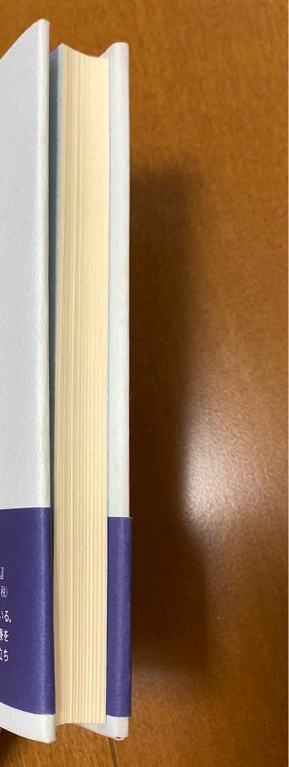 続・すべては患者のために―医療都市「旭中央病院」諸橋芳夫の理想を継ぐ