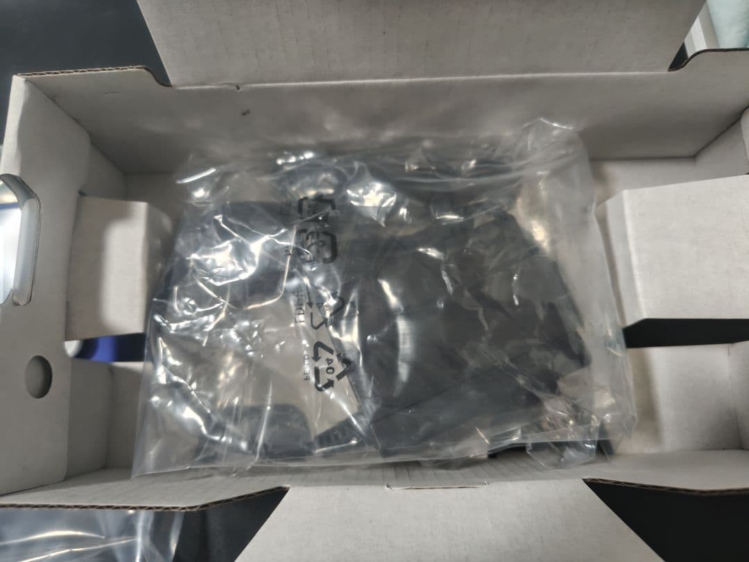 Nintendo Switch Lite オンライン30日間&充電器未使用