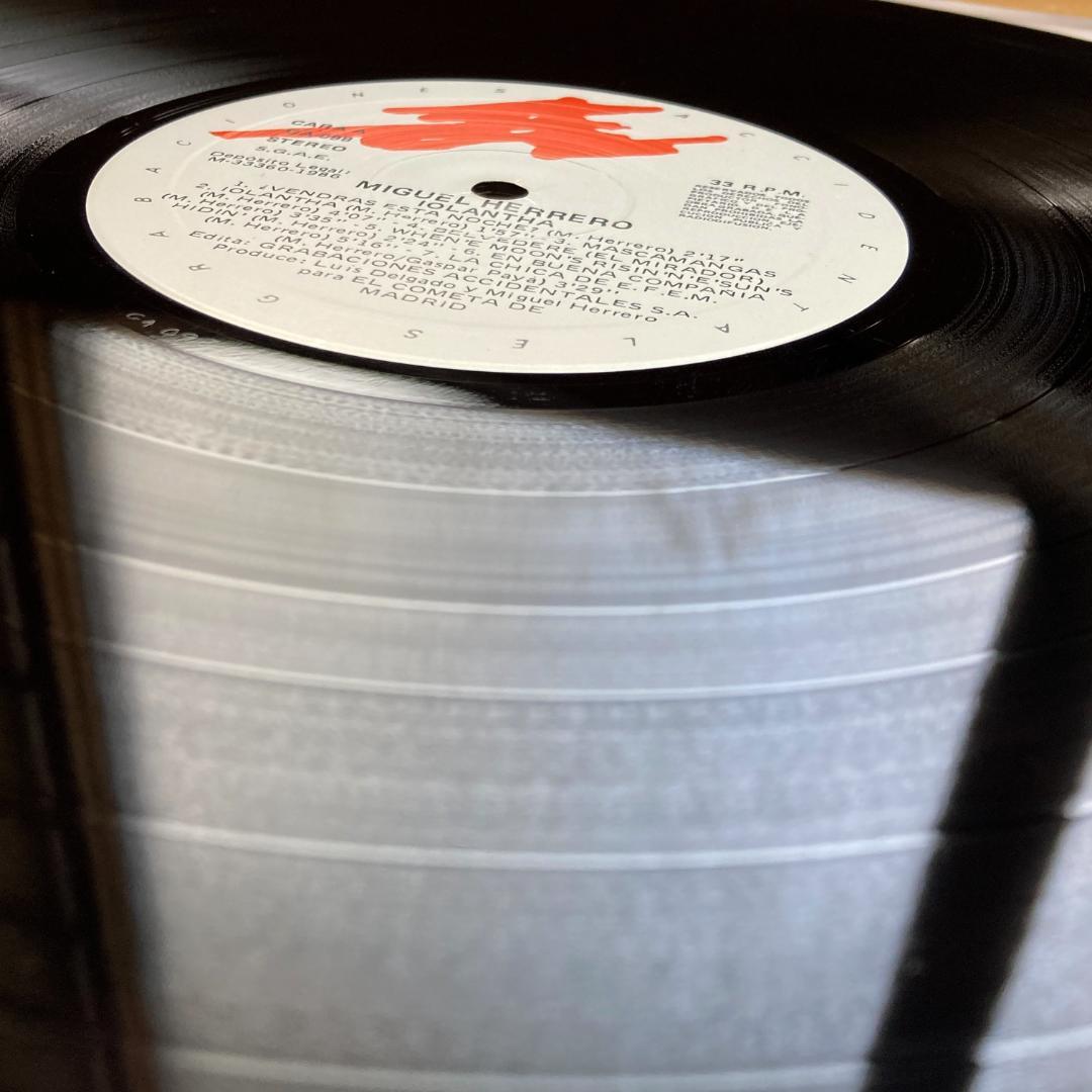 Miguel Herrero　Iolantha　マドリッド音響派