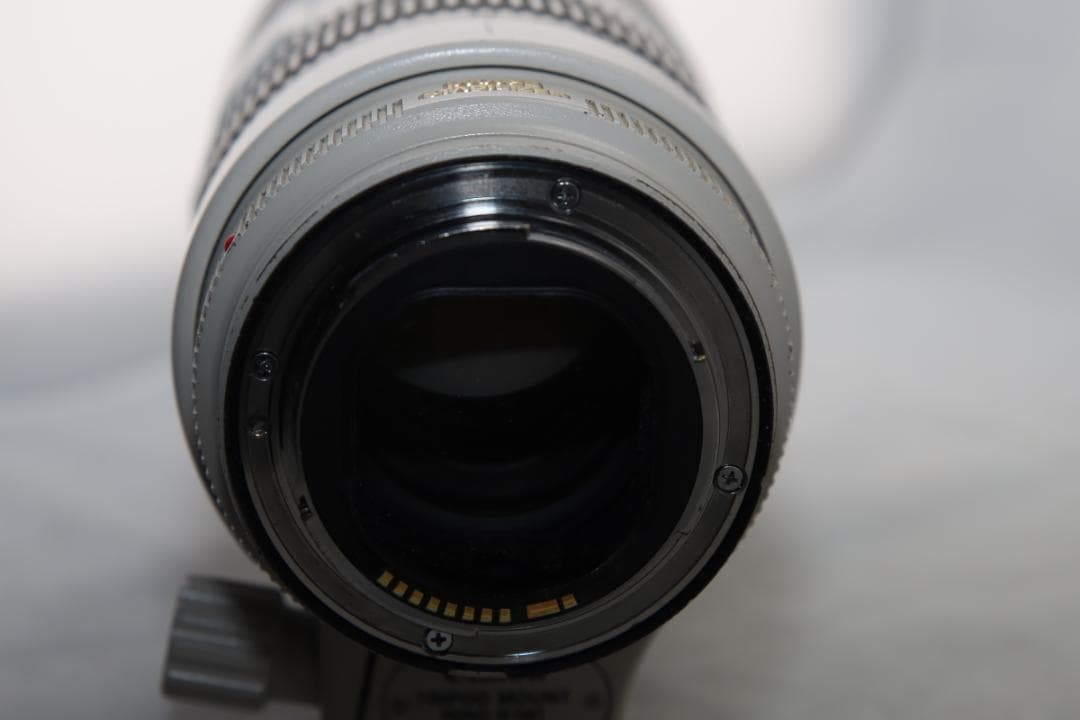 Q*n様 Canon EF 70-200 F2.8 L IS II USM キャ