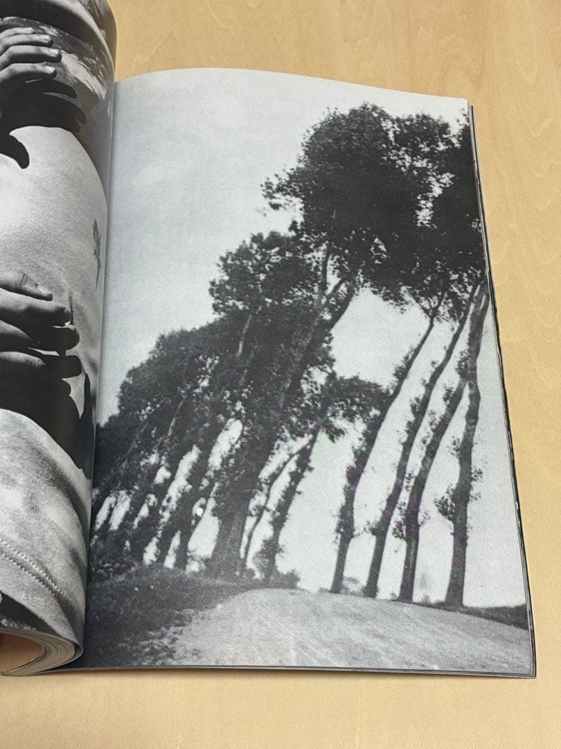 趣味・スポーツ・実用 PERMANENT FOOD No.7