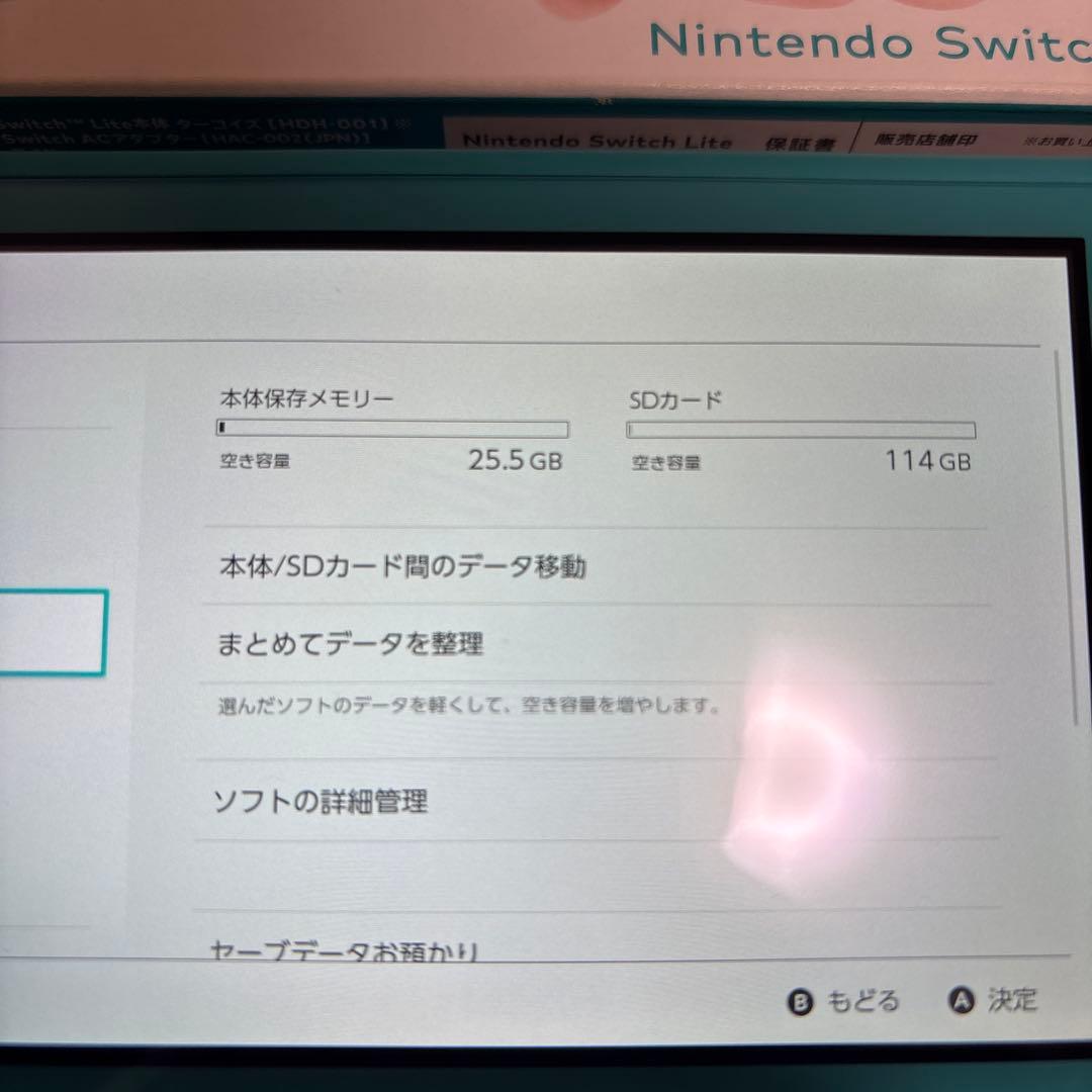 Nintendo Switch Lite ターコイズ　SDカード付き
