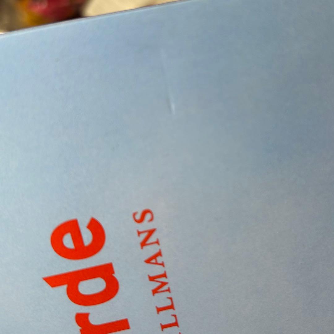 美品　Concorde ヴォルフガング・ティルマンス　1997年初版