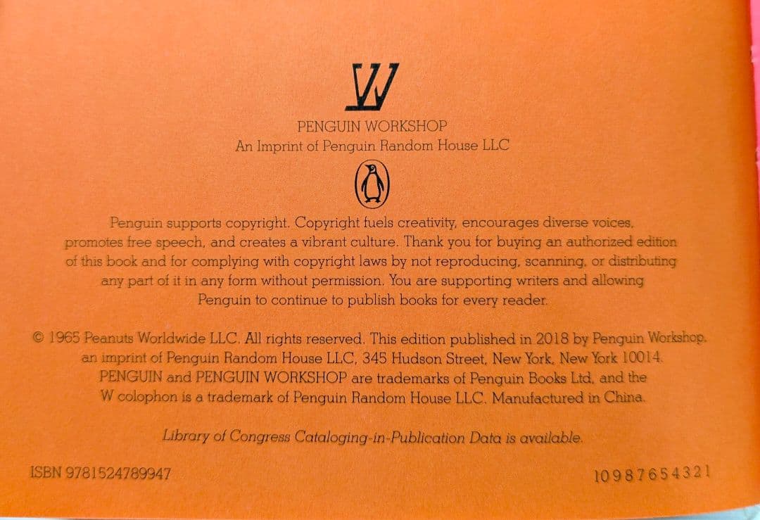 確認用◆洋書☆『Love Is Walking Hand in Hand』◆