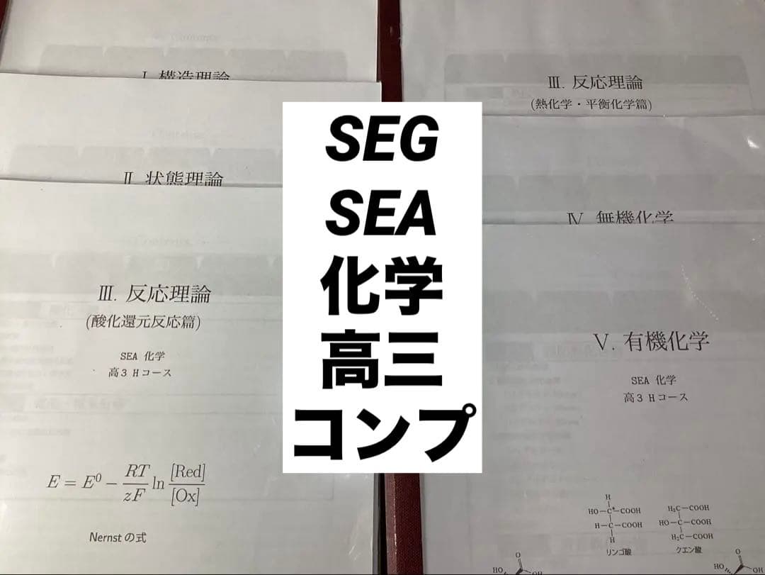 SEG SEA 科学的教育グループ　化学　高3 大学受験　コンプセット　Hコース
