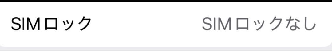 iPhone13 箱充電ケーブル付き