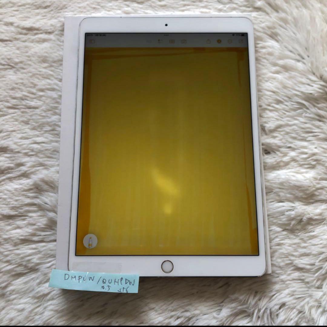 【完動品】iPad Pro 10.5 256GB SIMフリー【付属品】