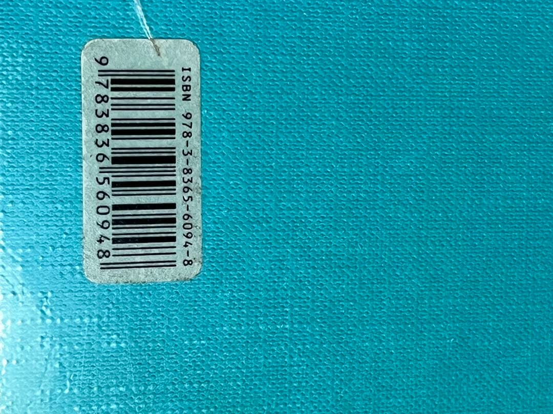 デビッド・ボウイ ホログラム 豪華版 ロック