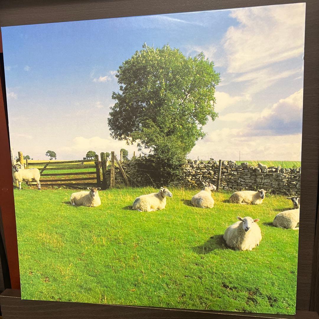 名盤KLF CHILL OUT 2017 CLEAR VINYLレコード