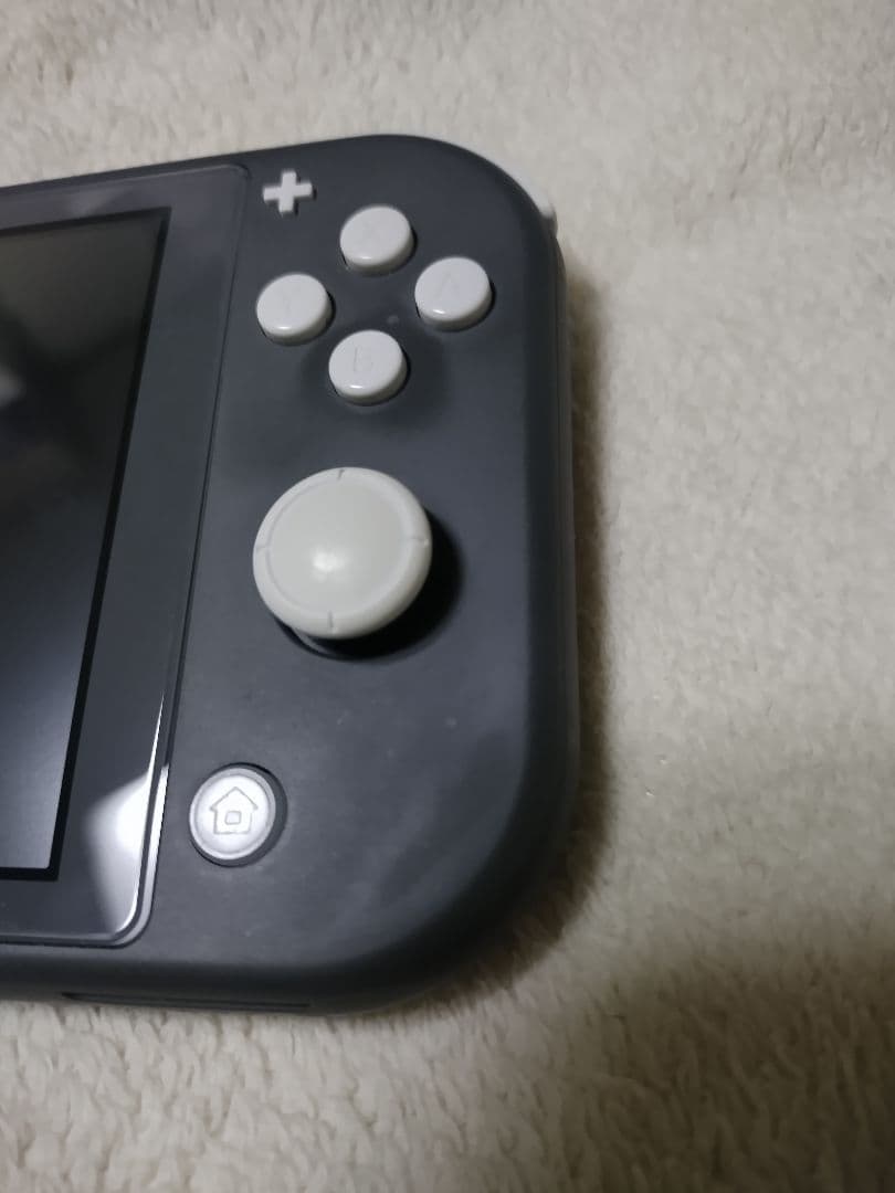 Nintendo Switch Lite グレー 本体＆充電ケーブル＋オマケ付
