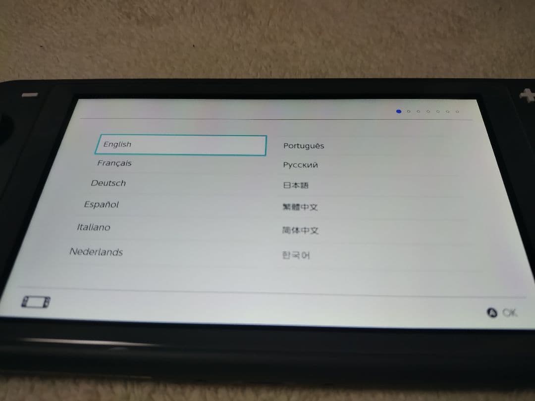 Nintendo Switch Lite グレー 本体＆充電ケーブル＋オマケ付