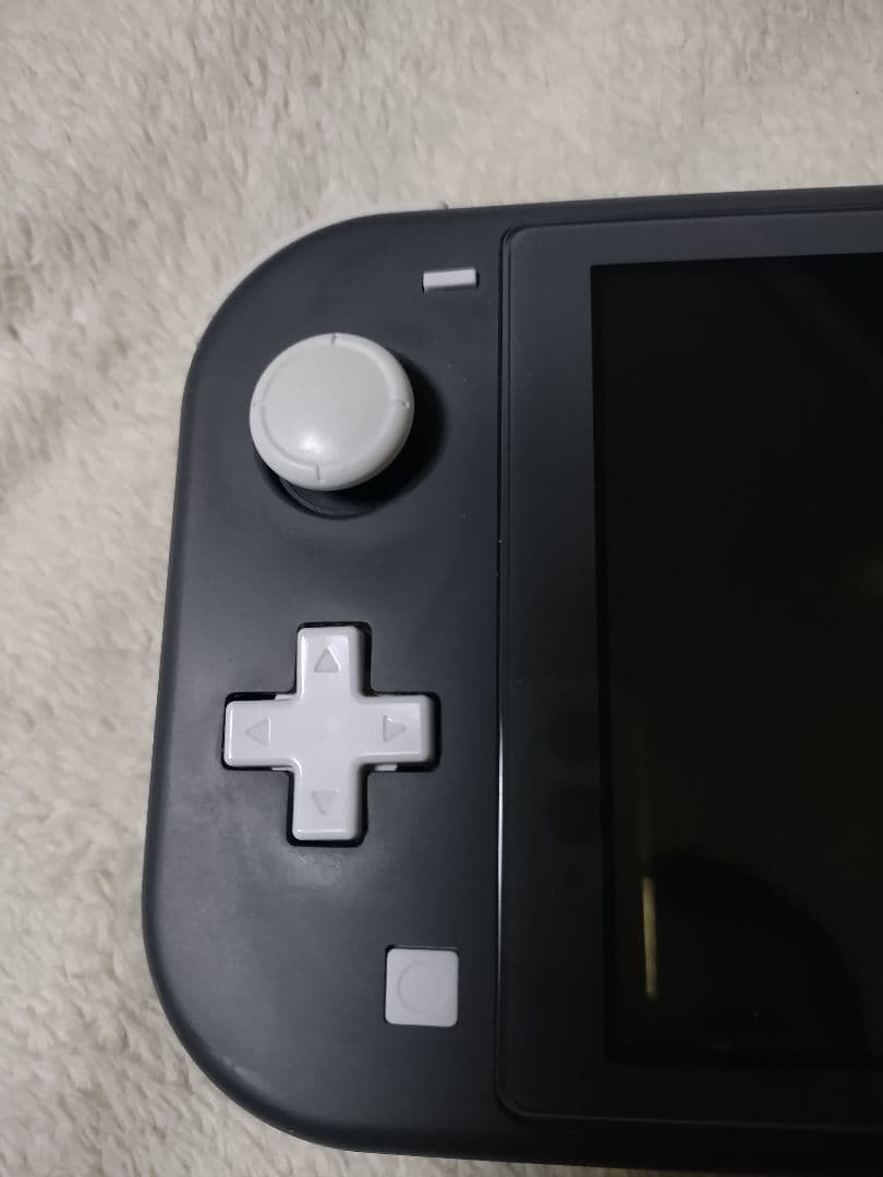 Nintendo Switch Lite グレー 本体＆充電ケーブル＋オマケ付