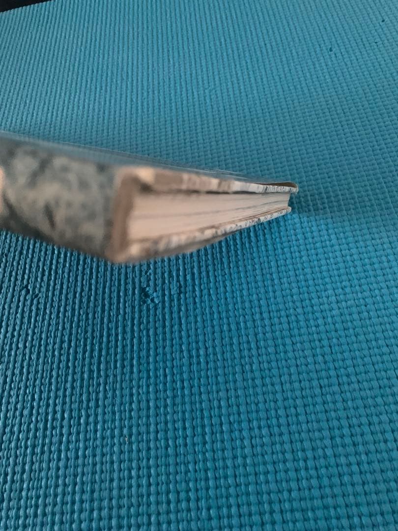 Furs for Men by Anna Municchi 【希少 激レア】