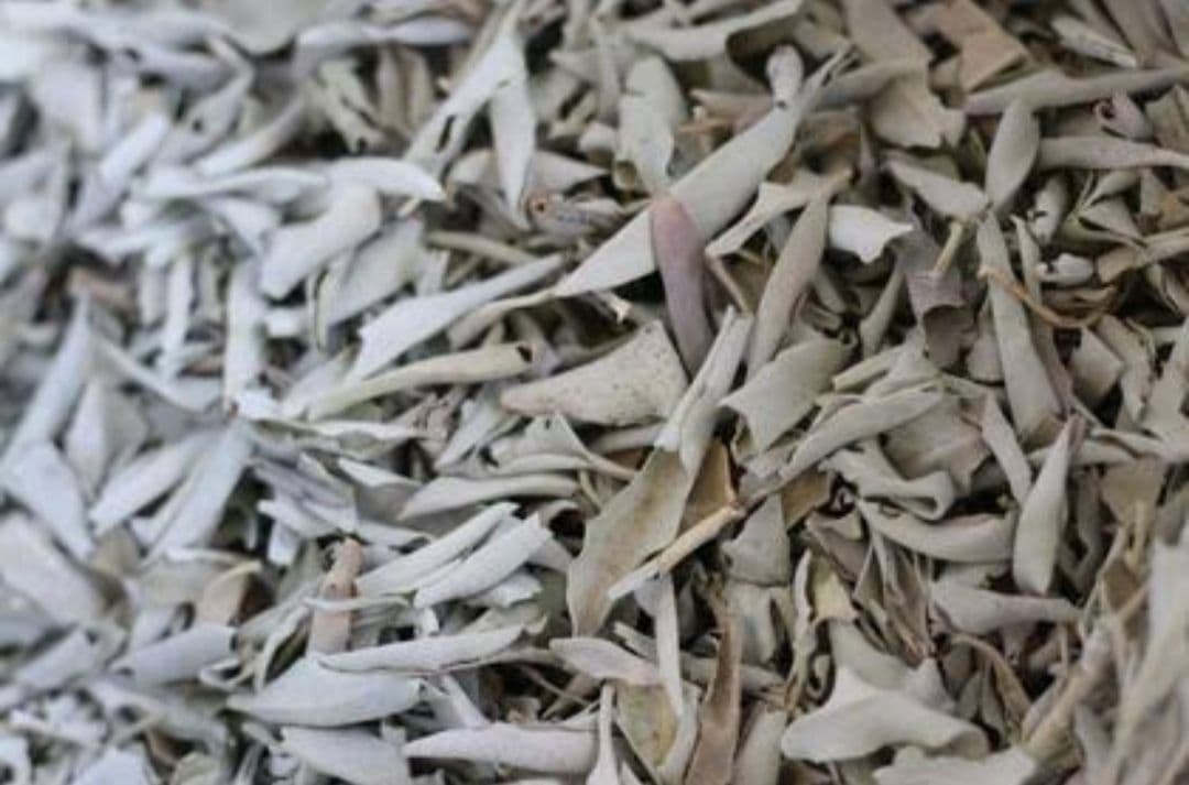 まるページ☆無農薬ホワイトセージ枝無しリーフ1.5KG